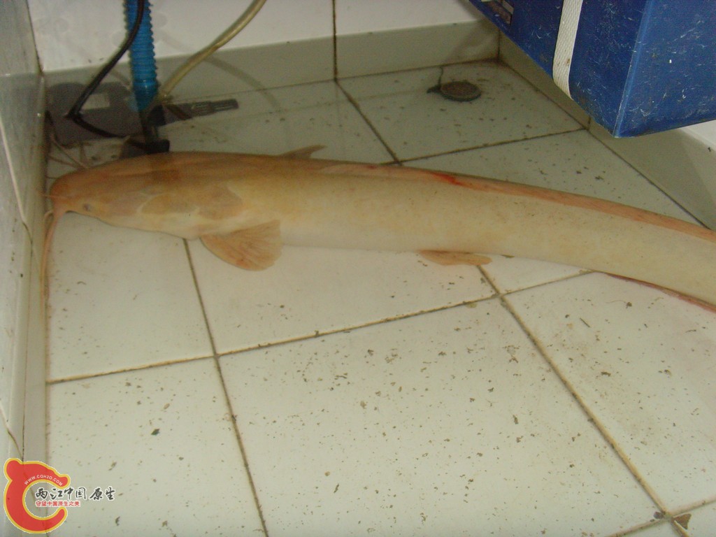 SNV31591.JPG