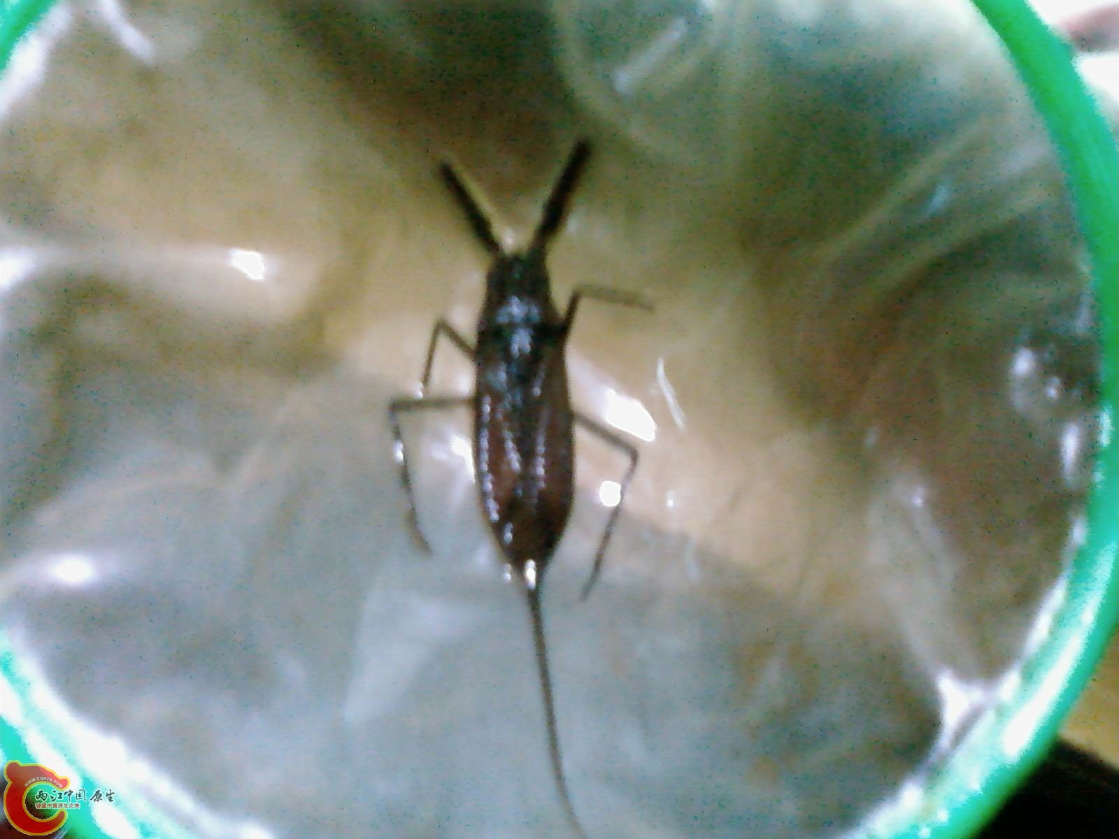 SP_A1254.jpg