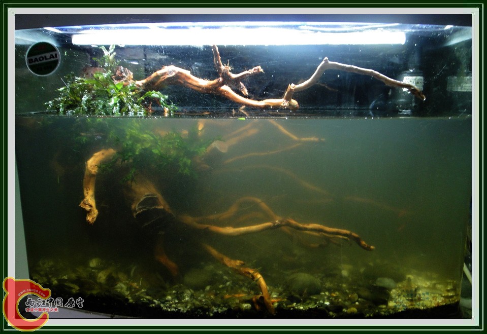 翻缸DSC02176.JPG