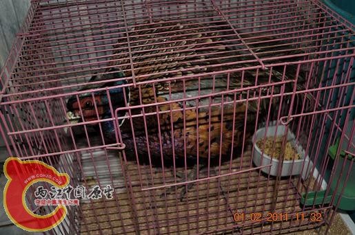 DSC_1493.JPG