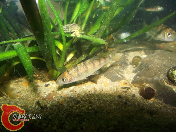 DSCF2385.jpg