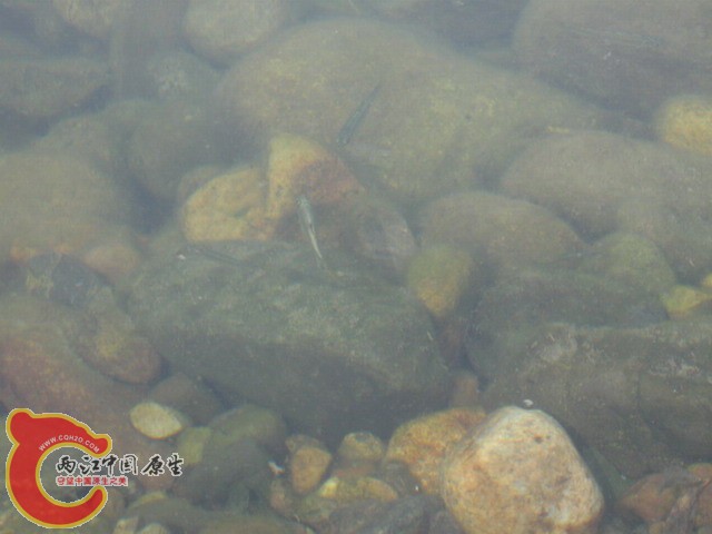 06.JPG