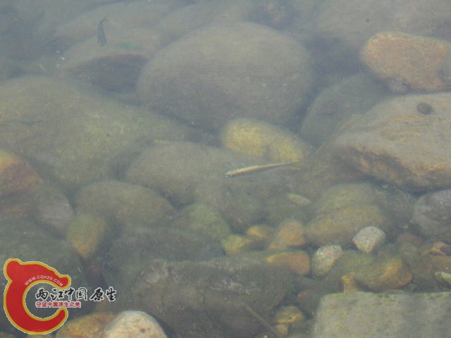 07.JPG