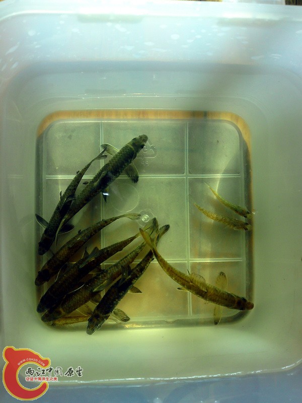P04-02-11_12.22.jpg
