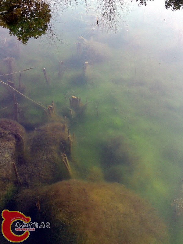 P04-02-11_13.36.jpg