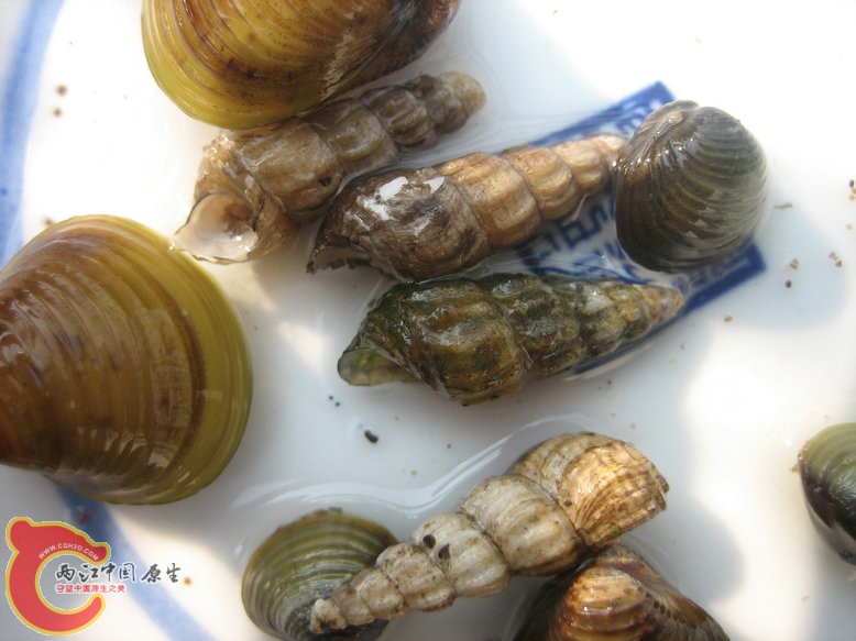 照片2011 073.jpg