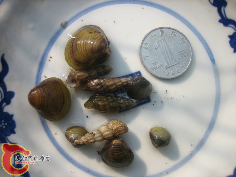 照片2011074.jpg