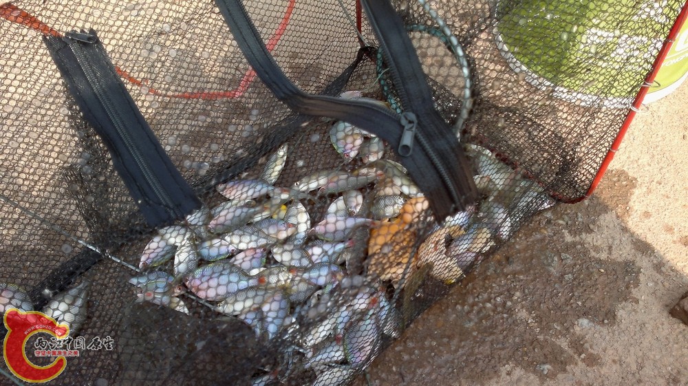 20110205053a.jpg