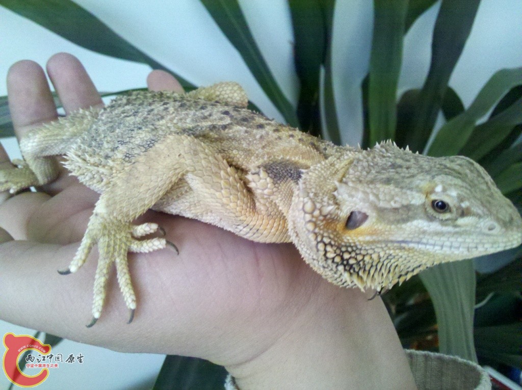 2011-02-05_14-19-08_632.jpg