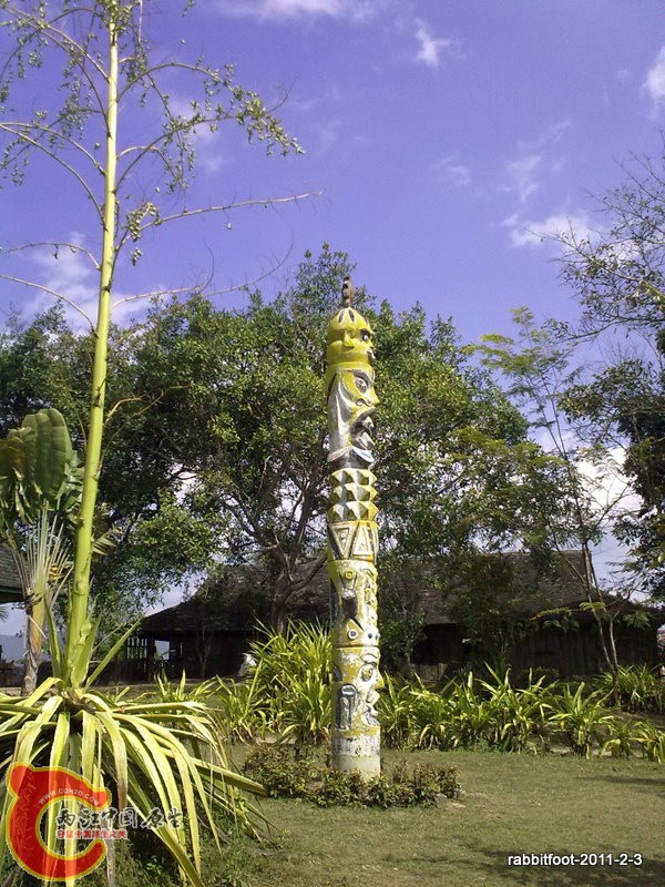 20110203157-1.jpg