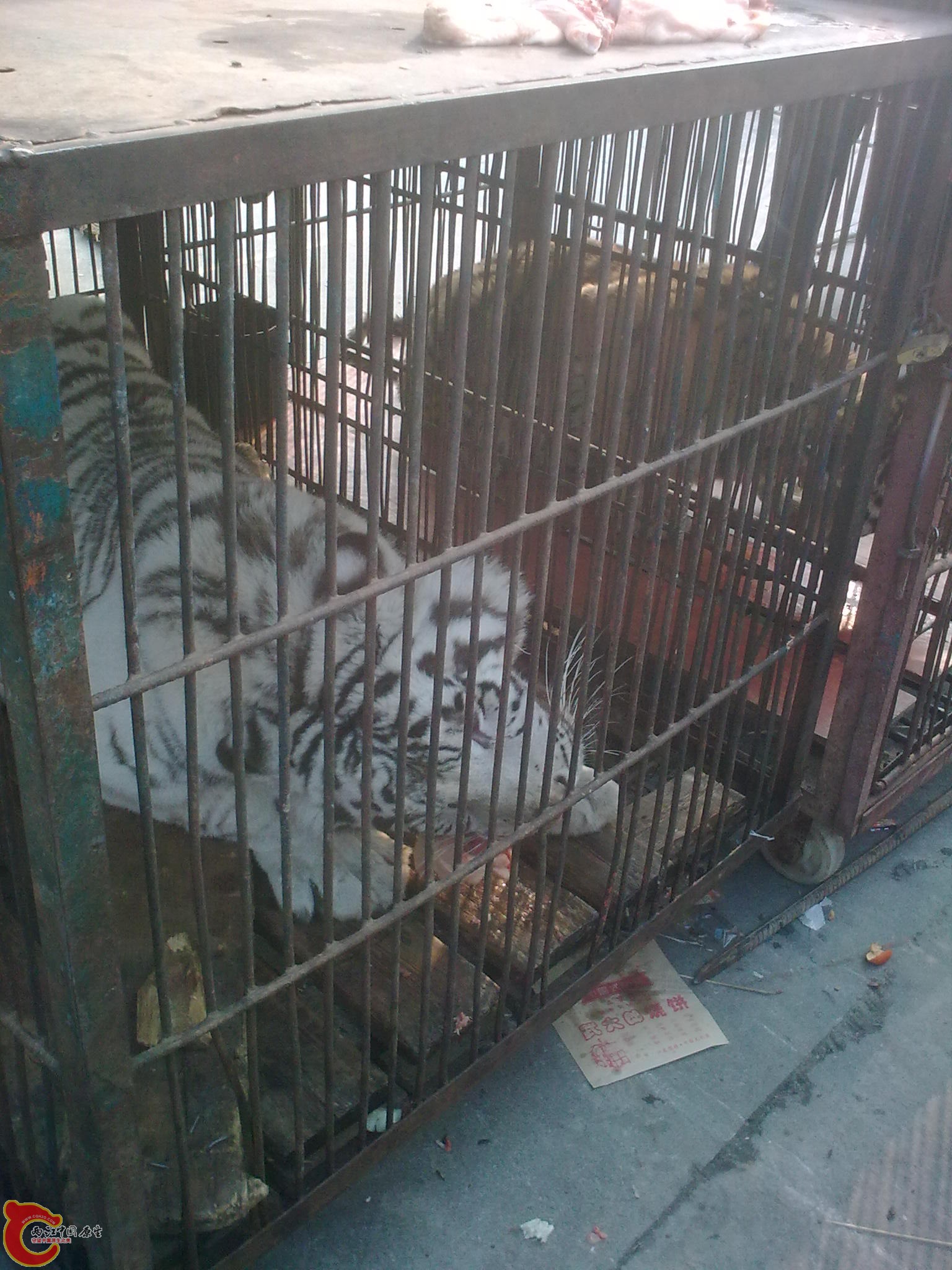 图像0437.jpg