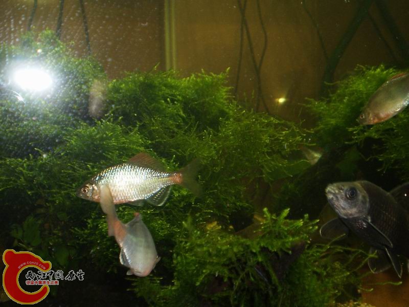 P1160422.JPG