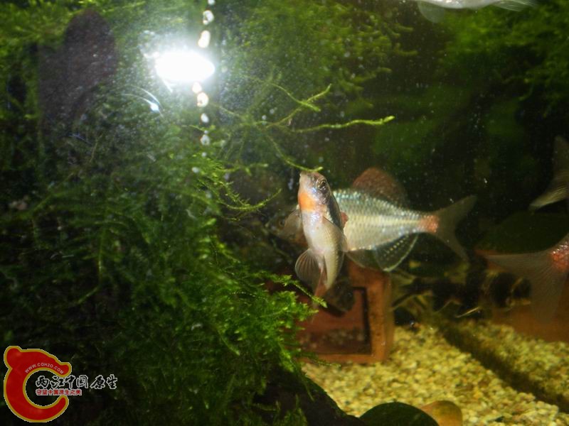 P1160414.JPG