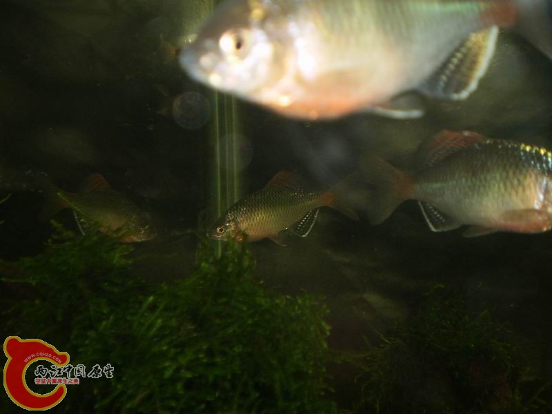 P1160394.JPG