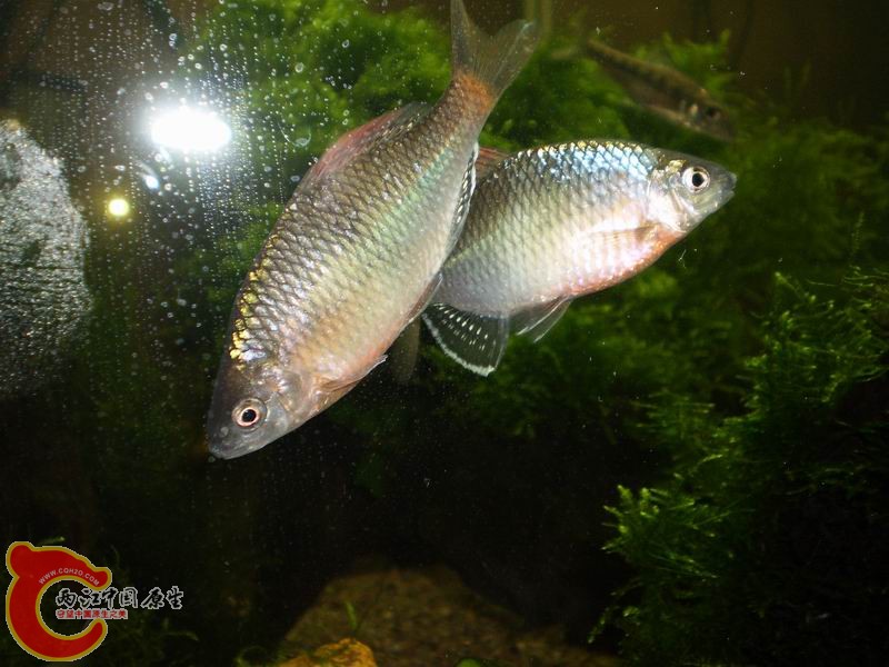 P1160421.JPG