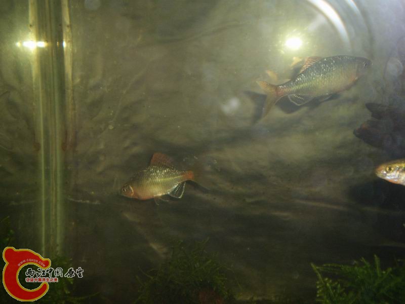 P1160389.JPG