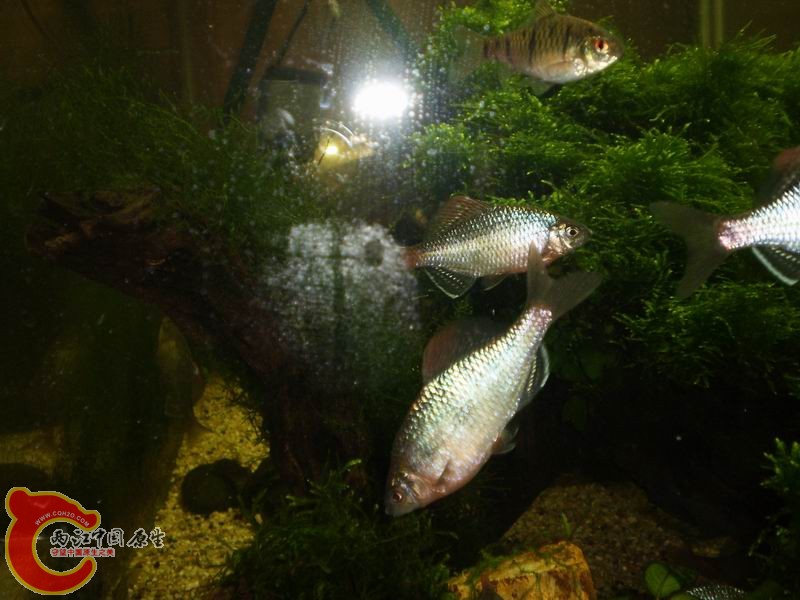 P1160411.JPG