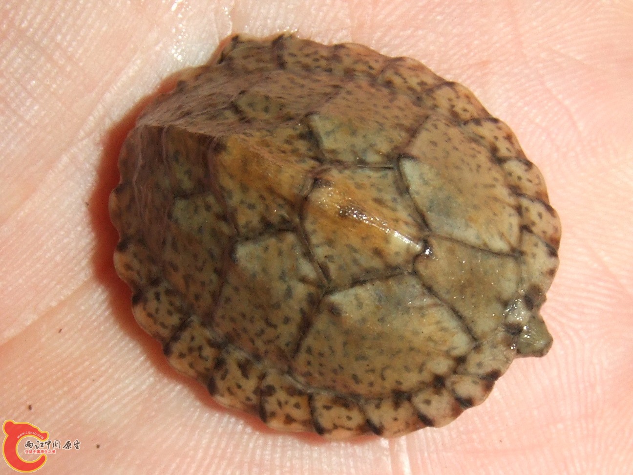 DSCF2534.JPG