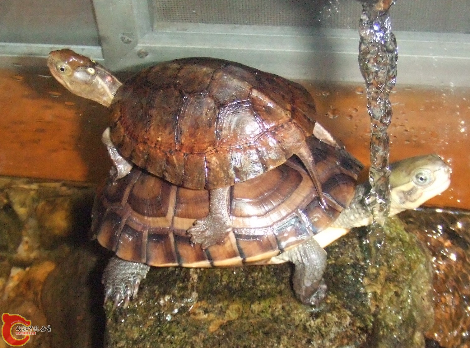 DSCF2629.JPG