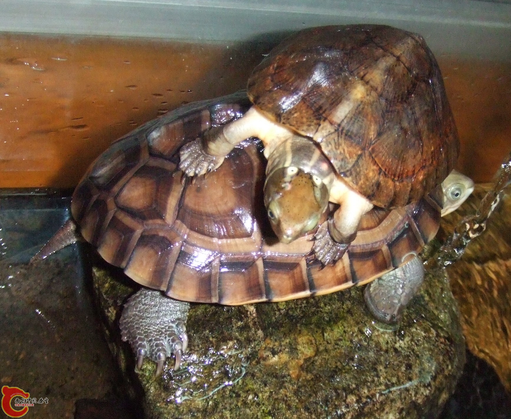 DSCF2630.JPG