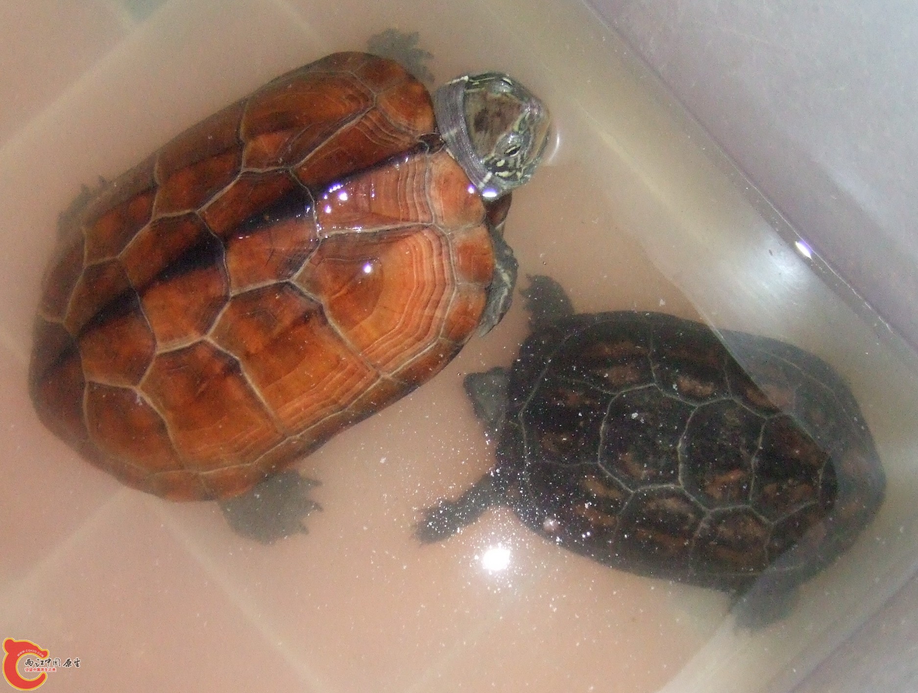 DSCF2520.JPG