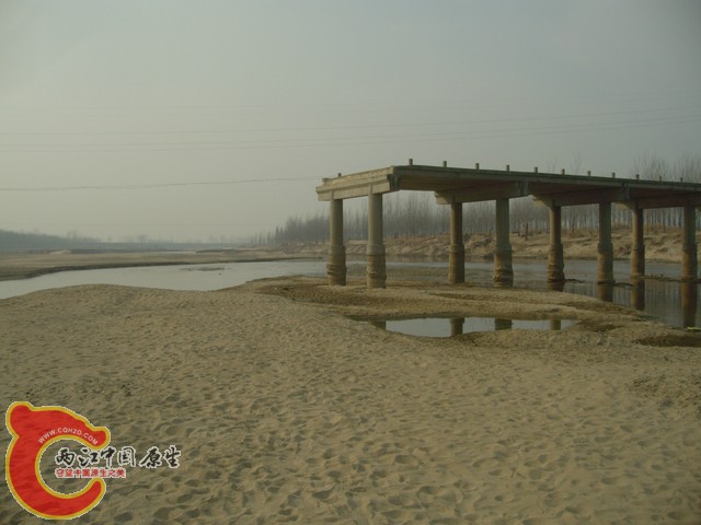 003.JPG