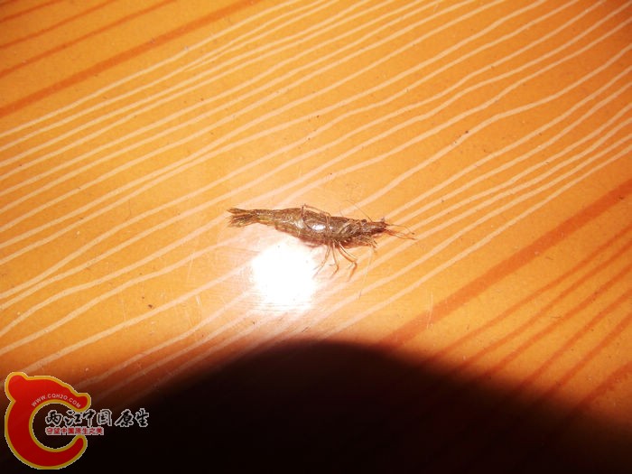 DSCF2657.jpg