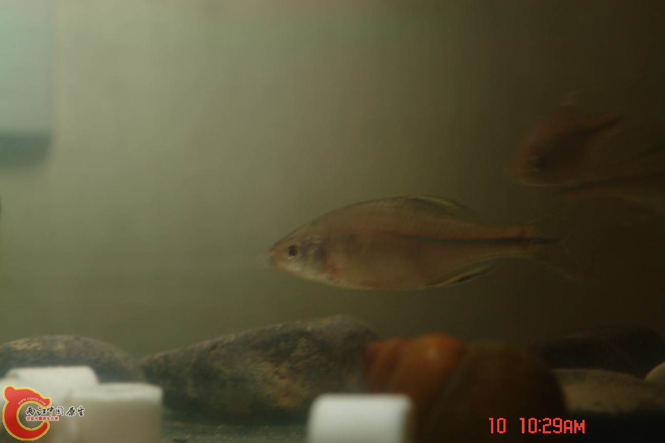 DSC07666.JPG