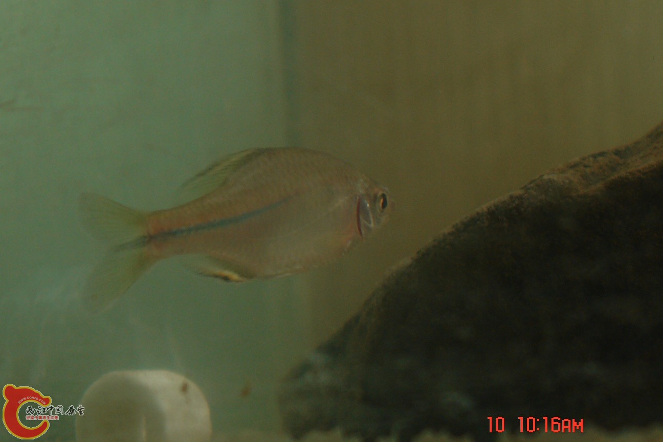 DSC07654.JPG