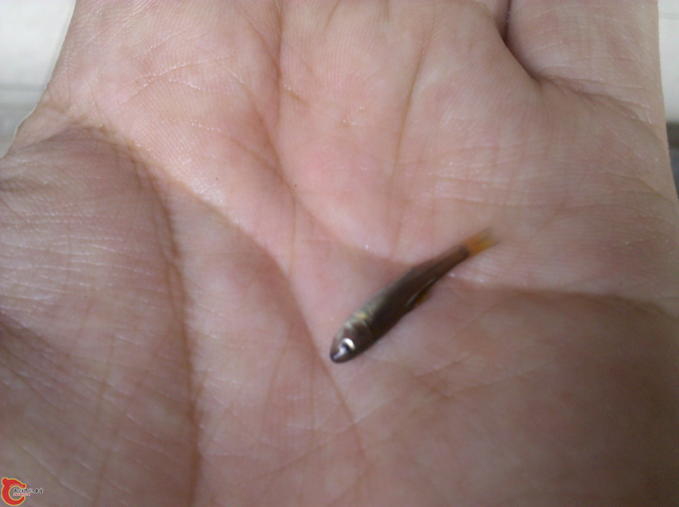 2010-07-10 14.53.58.jpg