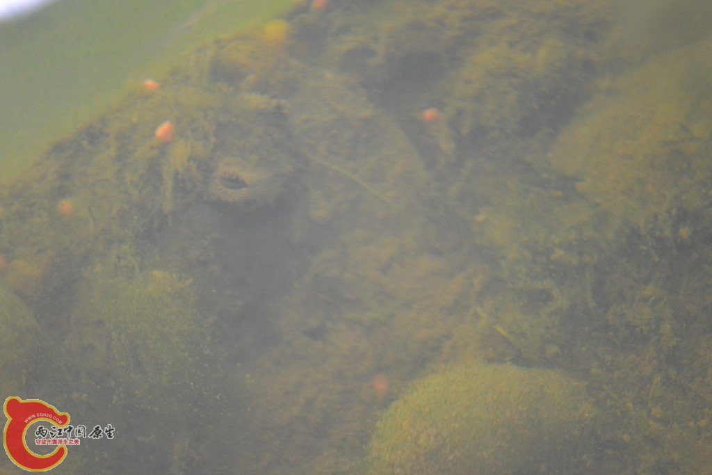 DSC_0773.JPG