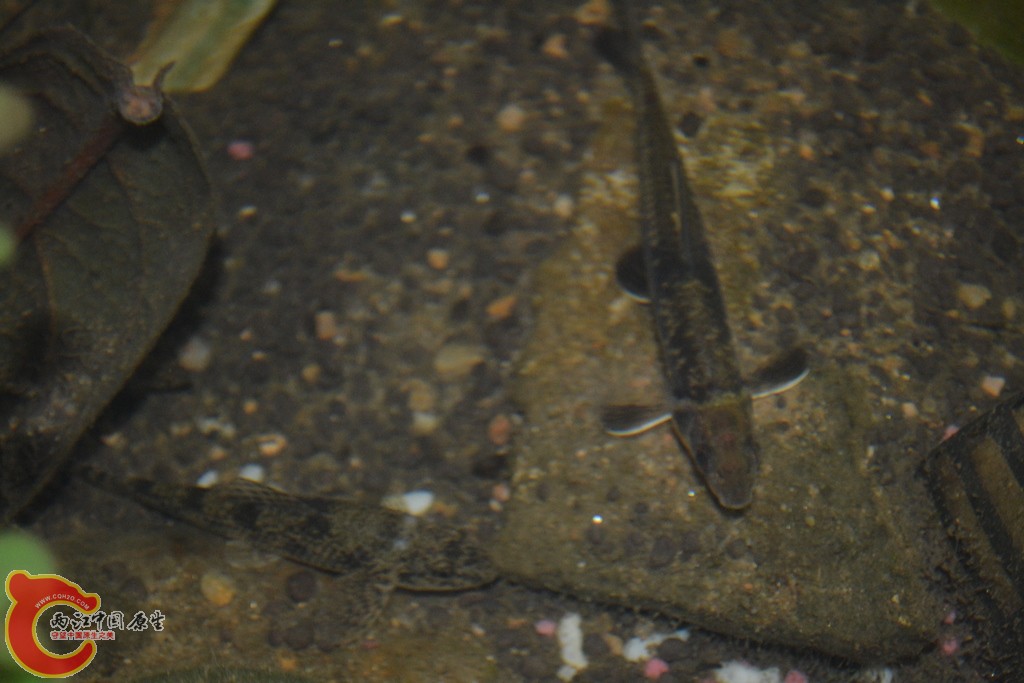 DSC_0776.JPG