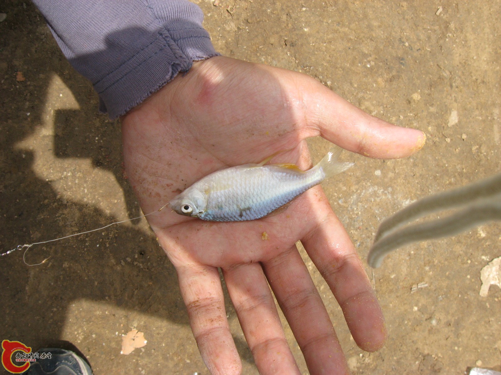IMG_1364.JPG