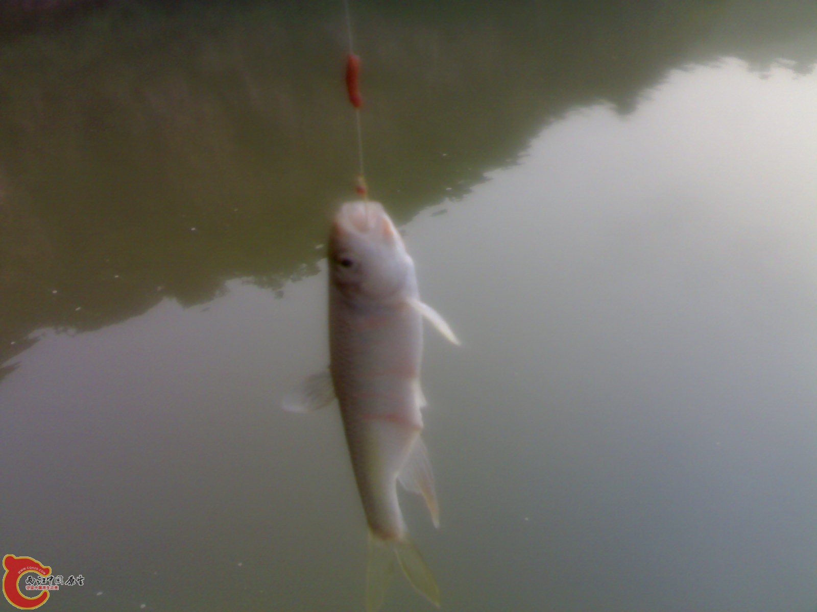 20100731258.jpg