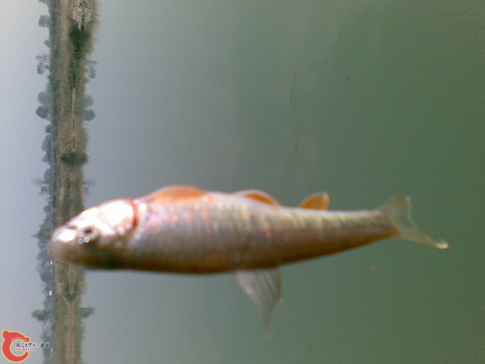 20091024(003).jpg