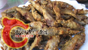柳根鱼