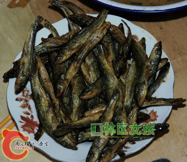 小河鱼1.jpg