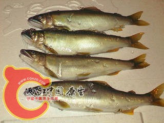 20060707085407776.gif