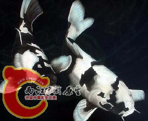 20106311216235.jpg