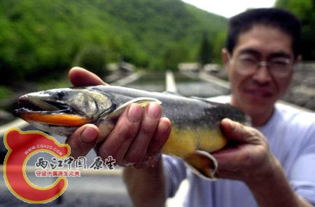img696556_1.jpg