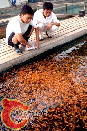 xinsrc_5706012114025161037940.jpg