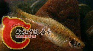 tn_11020361.jpg