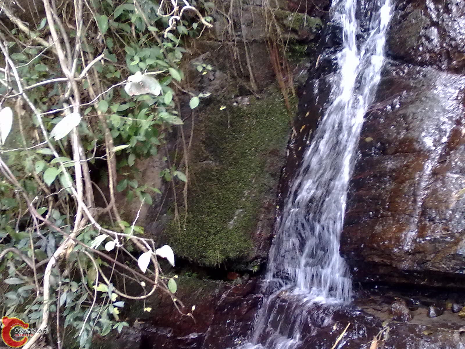 20110209040.jpg