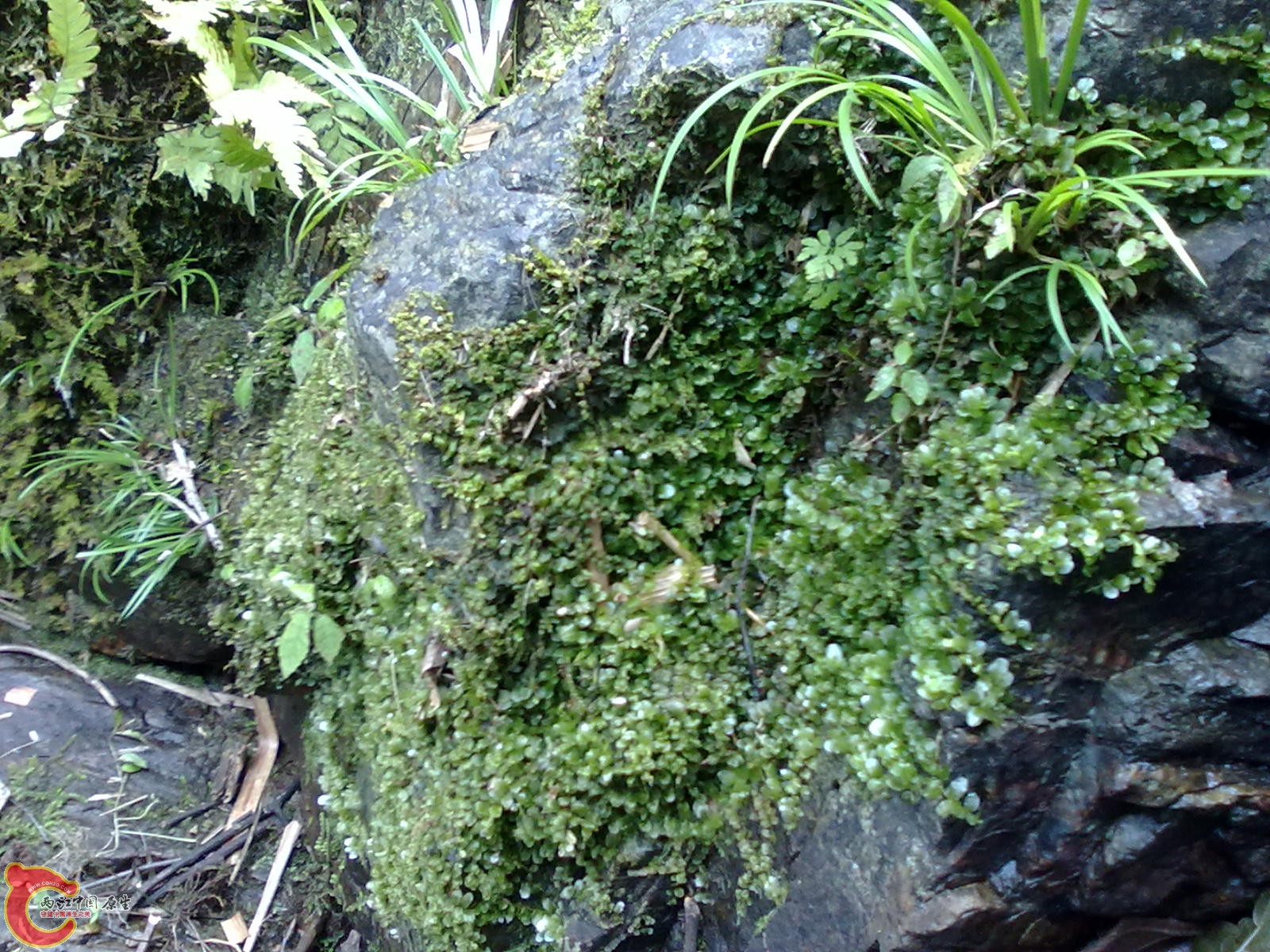 20110209043.jpg