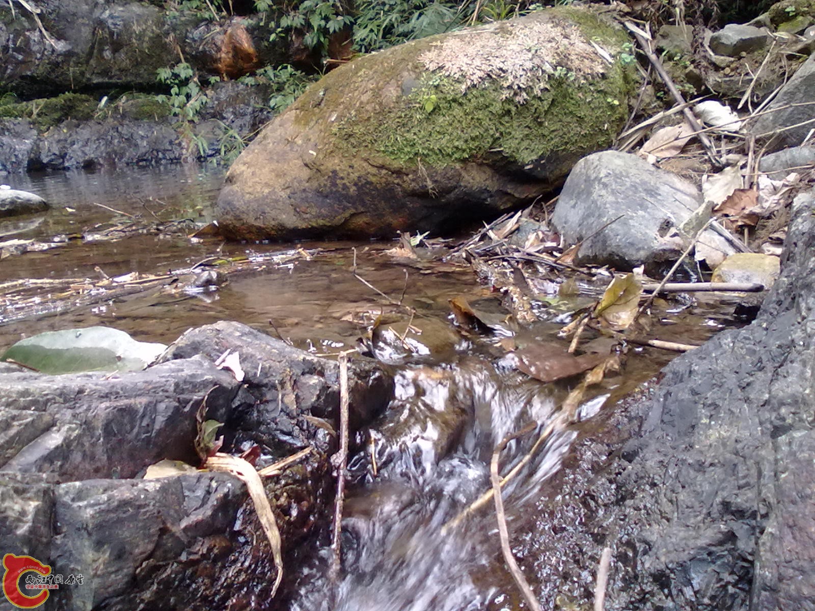 20110209044.jpg