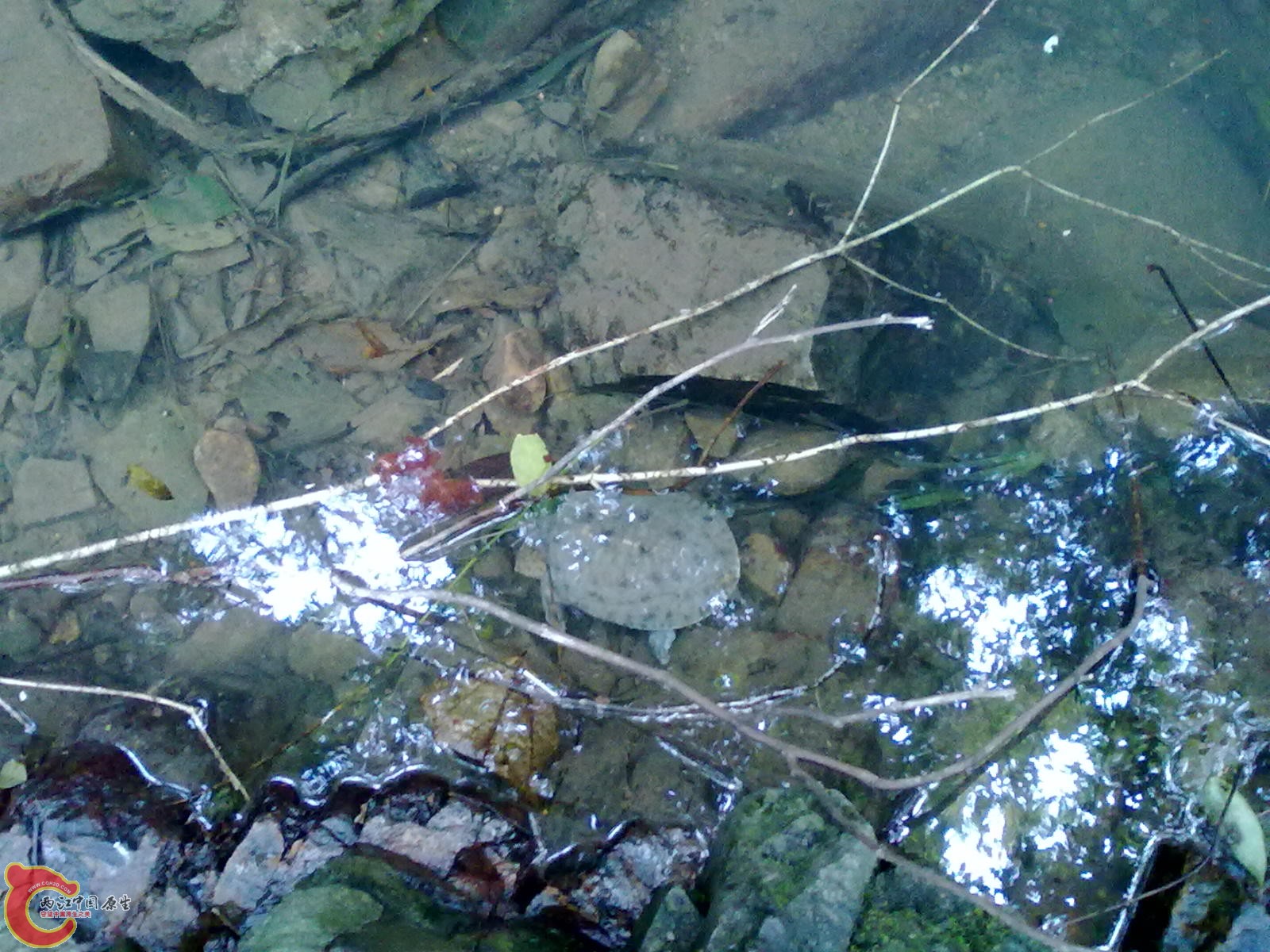 20110209045.jpg