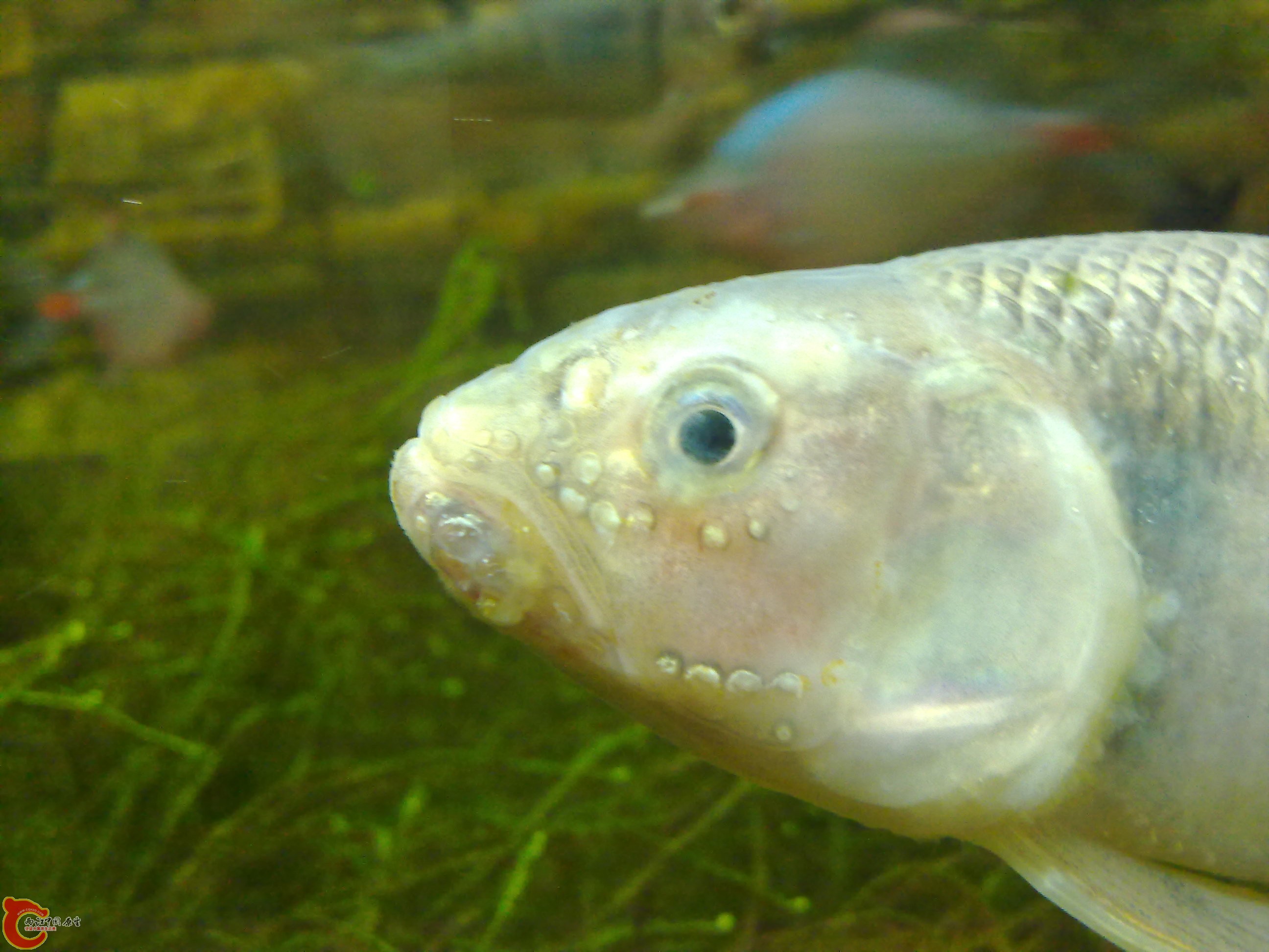 20110217624.jpg