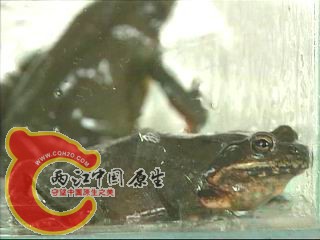 sa100720_7.jpg