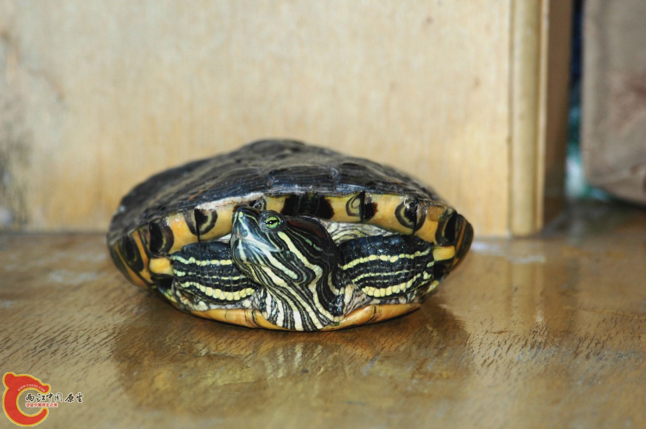 8699acda24dae547d0164ef8.jpg
