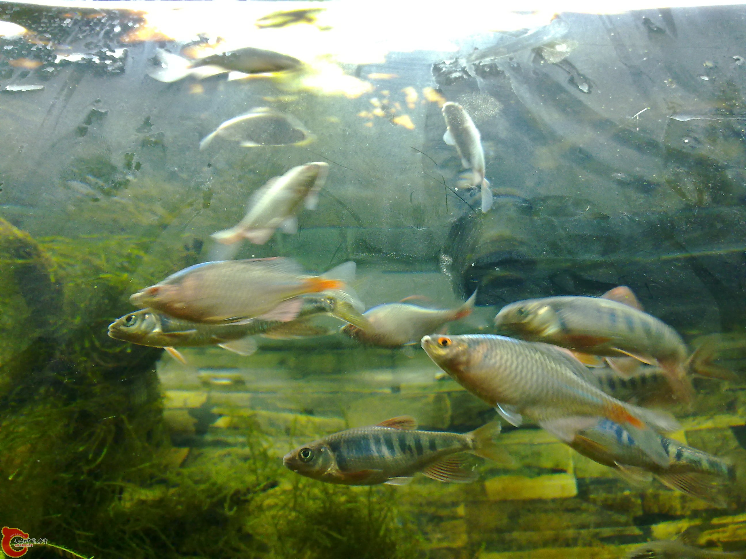 20110219844.jpg